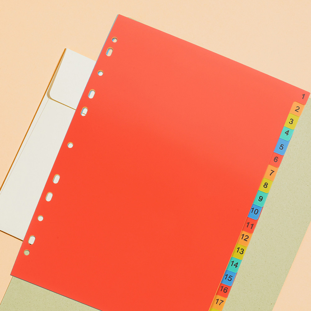 2 set di divisori in plastica  - Tab Divider A4 recensione e prezzo