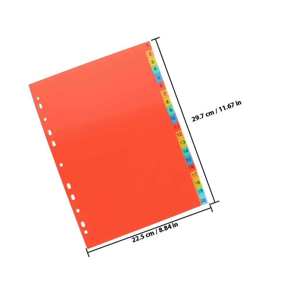 2 set di organizer per documen - Tab Divider A4 recensione e prezzo